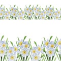 Seamless ribbon border made of daffodils flowers.