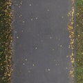 Seamless Road Texture with Leaves Royalty Free Stock Photo