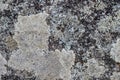 Seamless rock texture background closeup Royalty Free Stock Photo