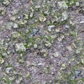 Seamless rocky ground with moss texture. background. Royalty Free Stock Photo