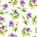 Seamless romantic textile texture with violet viola flowers