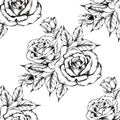 Seamless rose pattern with sketch flowers