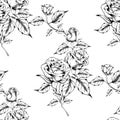 Seamless rose pattern with sketch flowers