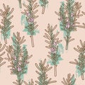 Seamless rosemary background