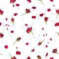 Seamless roses and petals in red Royalty Free Stock Photo
