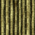 Seamless roughage bamboo pattern Royalty Free Stock Photo