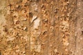 Seamless Rust Texture as Rusted Metal Background. Abstract background, empty template. Royalty Free Stock Photo