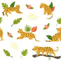Seamless Safari Pattern With Leopards And Leaves