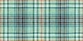 Teal rustic coastal beach house border check fabric tile. Seamless sailor flannel edging trim textile. Gingham rustic