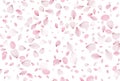 Seamless sakura petals. Falling realistic cherry petals