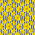 Seamless sample with yellow daffodils on a striped background