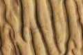 Seamless sand bottom texture