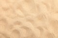 Seamless sand on a whole background. Texture.