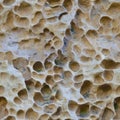 Seamless sandstone natural texture