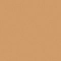 Seamless sandy brown corduroy texture. Fustian lined material backdrop. Velvet textile background. Velveteen striped fabric
