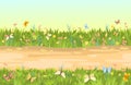 Seamless sandy road. Horizontal border composition. Summer flowers meadow landscape. Juicy grass. Rural rustic scenery Royalty Free Stock Photo