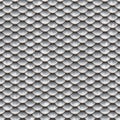 Seamless scales snake skin texture silver smaler