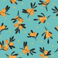 Seamless sea buckthorn pattern.