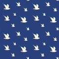 Seamless sea pattern with flying nautical birds - marine seagulls Royalty Free Stock Photo