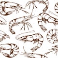 Seamless seafood pattern with hand drawn shrimps