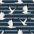 Seamless seagulls pattern. Vector illustration with flying marine birds Royalty Free Stock Photo