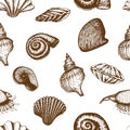 Seamless seashell pattern isolated on white. vintage Hand drawn background of various beautiful engraved mollusk marine