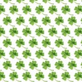 Seamless shamrock pattern with green clovers design. Isolate on background.