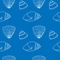 Seamless shell pattern, vector illustration, hand drawn, blue color Royalty Free Stock Photo