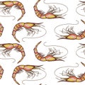 Seamless Shrimps Background Pattern Royalty Free Stock Photo