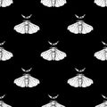 Seamless Silk Moth pattern on a dark background