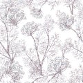 Seamless silver pattern of hand drawn fennel