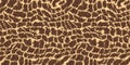 Seamless soft fluffy giraffe fur African safari wildlife pattern Royalty Free Stock Photo