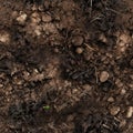 Seamless soil texture