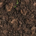 Seamless soil texture