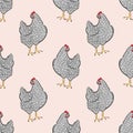 Seamless speckled hens pattern. Chicken bird