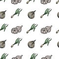 Seamless spice pattern, drawn element in doodle style. Culinary, Kitchen. Herbs and spices - onion, garlic and green