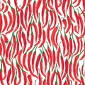 Seamless spice pattern with hot chilly pepper