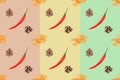 Seamless spice pattern with red chili pepper pods, heaps of cloves, fenugreek, allspice on brown, yellow, green background