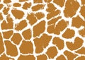 Seamless spotted Giraffe Skin Background. Royalty Free Stock Photo