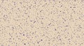 Seamless spray speckle texture. Dirty grain background. Grunge splash repeated effect. Noise repeating pattern. Print