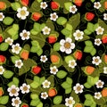 Seamless spring floral pattern Royalty Free Stock Photo