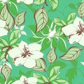 Seamless spring flower illustration