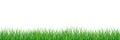 Seamless spring grass. Natural green saturated grass horizontal lawn lush ecological.