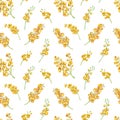 Seamless spring pattern with sprig of mimosa. Watercolor yellow floral background. Royalty Free Stock Photo