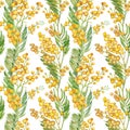 Seamless spring pattern with sprig of mimosa. Watercolor yellow floral background. Royalty Free Stock Photo