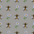 Seamless square pattern with bees and daisies.