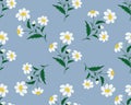 Seamless stitch embroidered pattern with daisy flowers on a blue background. Vector