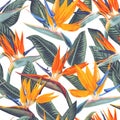 ,Bright seamless pattern with tropical flowers and leaves of Strelitzia Reginae.