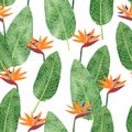 Seamless Strelitzia Reginae pattern with watercolor flowers and leaves. Vector tropical bird paradise flower background Royalty Free Stock Photo