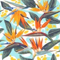 Seamless pattern with bright color splashes and tropical flowers and leaves of Strelitzia Reginae.